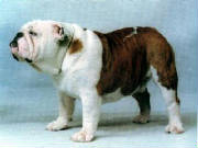 chmillcoatstitus.jpg