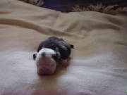 dsc00104.jpg
