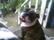sandy100409.jpg