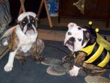 halloween08.jpg